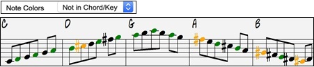Note Colors option in the Notation Window Options dialog