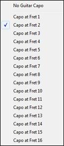 [Chord Display] button menu - Capo
